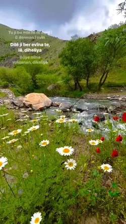YENİ ŞABLON 