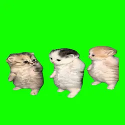 3 cats dancin