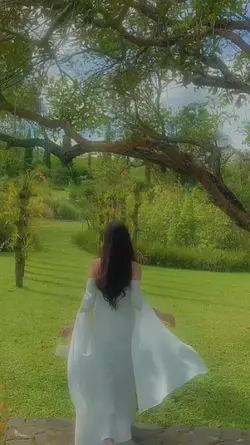Fairy vibes video
