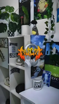 top 8 foto