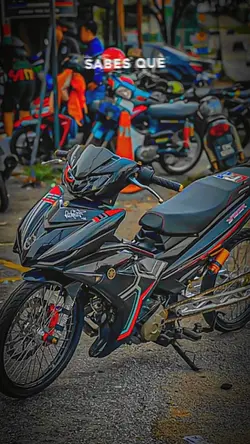 Mẫu 1 ảnh