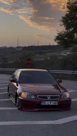 Acıma olamadın mani 