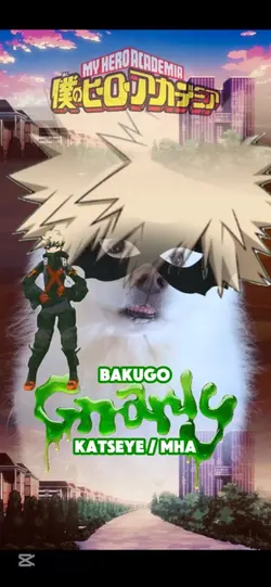 GNARLY BAKUGO MHA