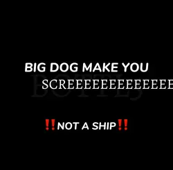 PITBULL