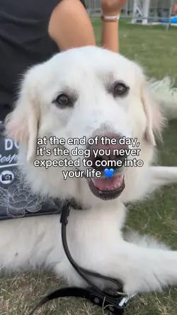 💙