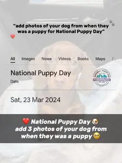 Puppy Day 🐶❤️