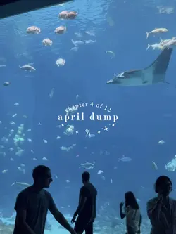 april dump aesthetic