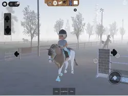 Show jumping!!
