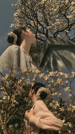 aesthetic 