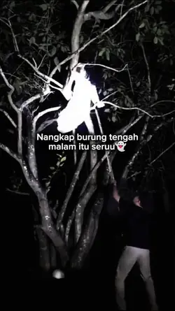 Di malam hari