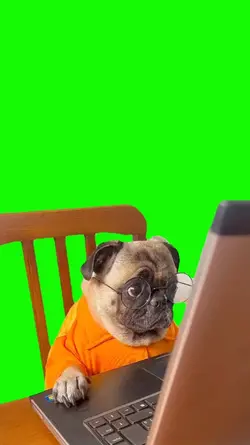 Dog using computer