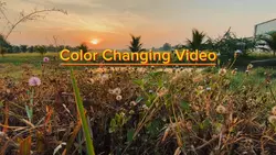 Color Changing Video