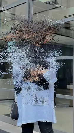 PARTICLES DISSIPATE