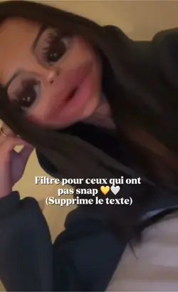 FILTRE SNAP Gratuit