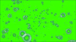 Bubbles overlay