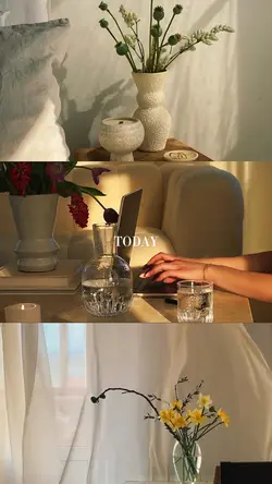 Today's story
