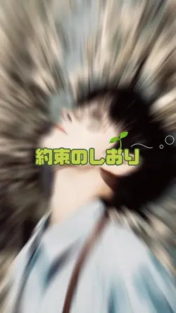 約束のしおり(ﾘｸｴｽﾄ)