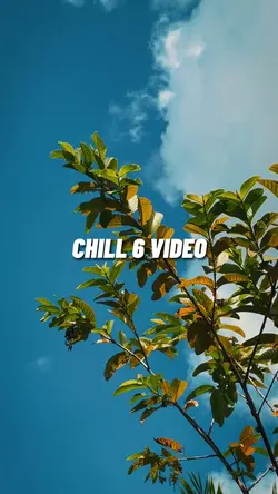 Chill 6 video + màu