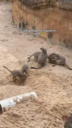 ZOO