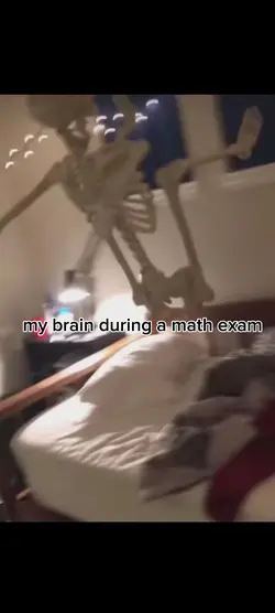 Skeleton meme 