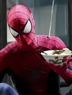 FILTER SPIDERMAN