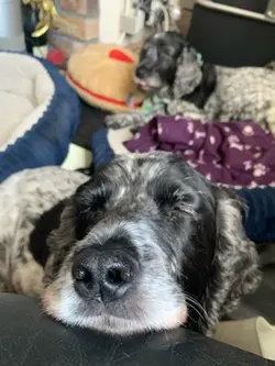 No you can’t have