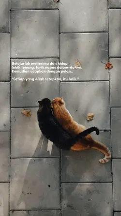 belajarlah menerima 
