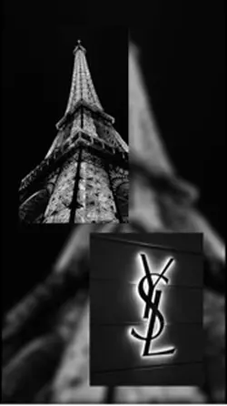 2 PICTURE OR VIDÉO 