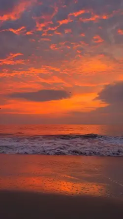 Sunset Filter