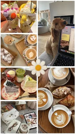 aesthetic grid