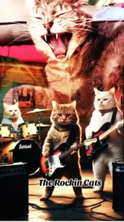 Rock And Roll 🎸 