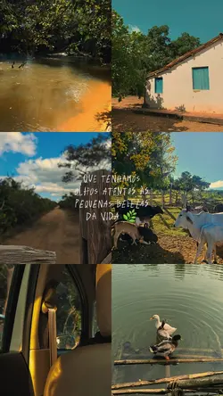 vida na roça