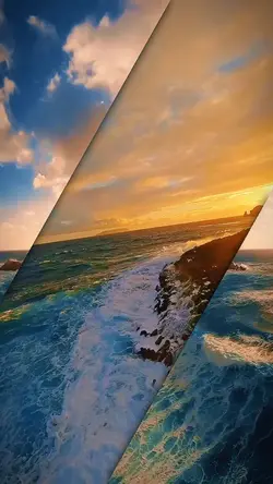 7 clip or photo 