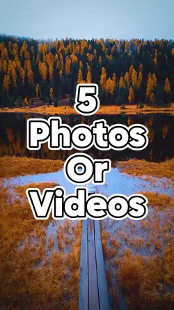 Mini Vlog
