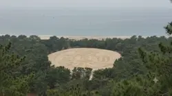 金運
