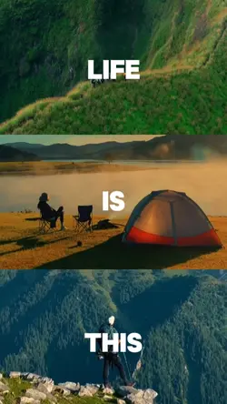 life is this