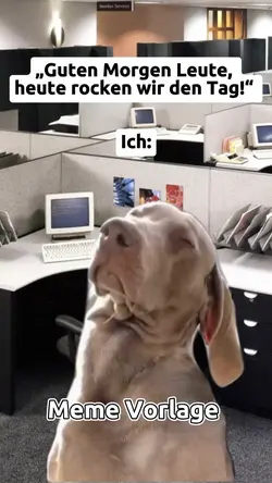 DOG meme