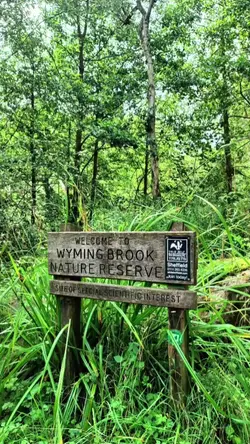 HIKING VIBE CHECK