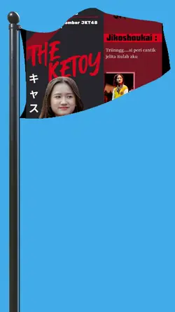 set image flag