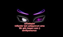 bir gün basarcam