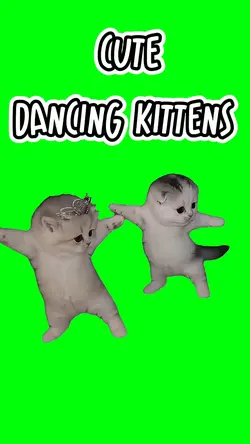 CUTE DANCING KITTENS