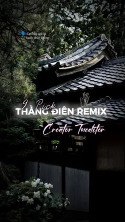 THẰNG ĐIÊN REMIX
