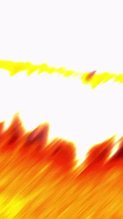 edit pecuária 