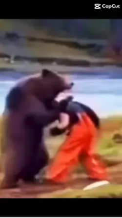 Bear edit