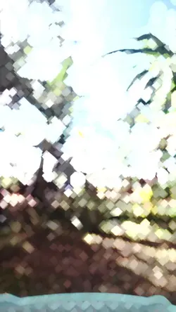 tutorial edit