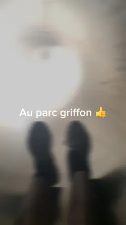 Ralenti