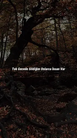 Tek Gecede Sildiğim