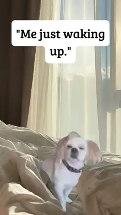 waking up