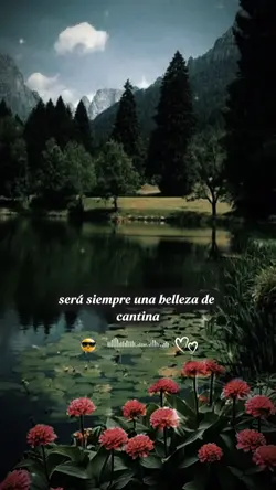 Belleza de Cantina 