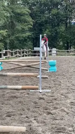 Horse Fail